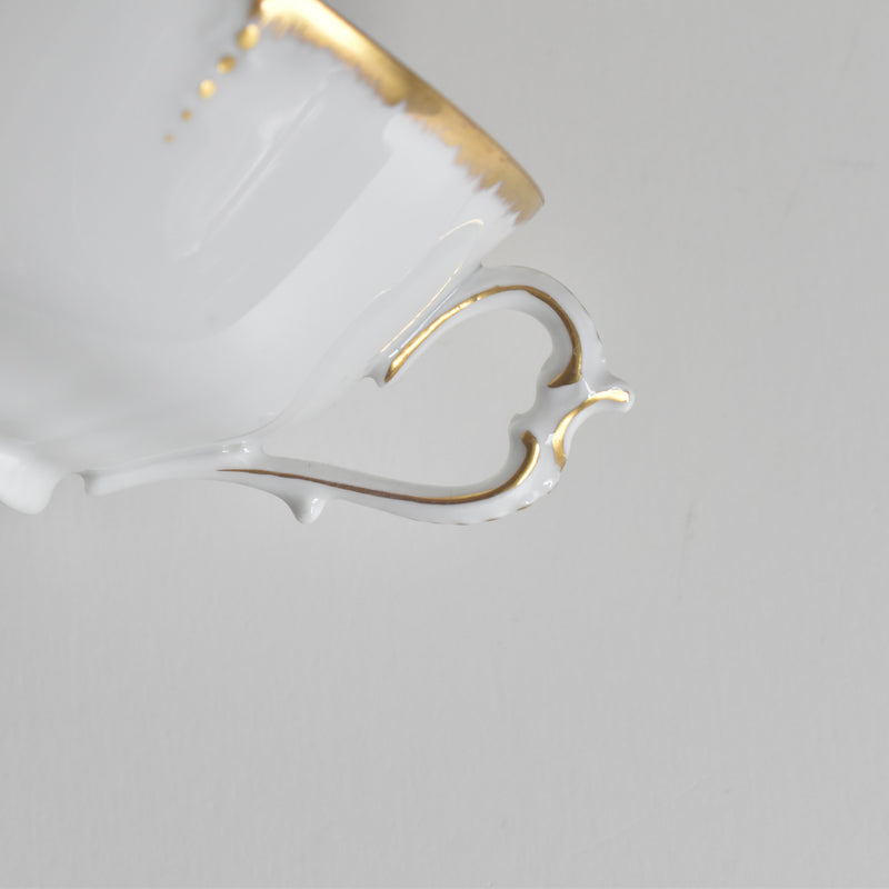 Antique Cup & Saucer Moritz Zdekauer Austria B