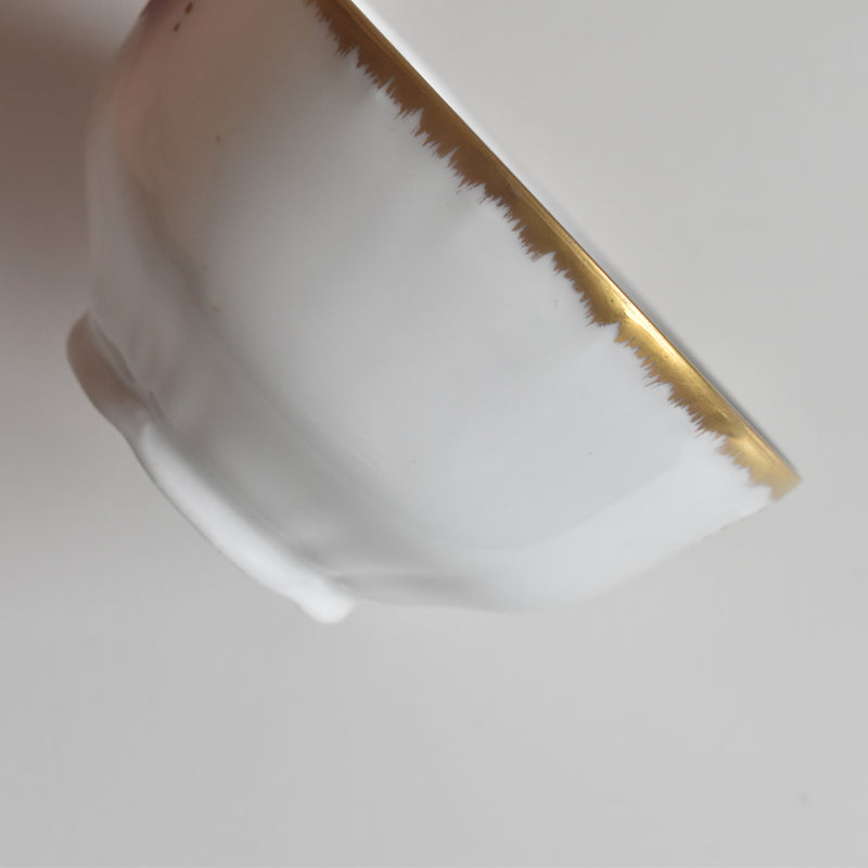 Antique Cup & Saucer Moritz Zdekauer Austria B