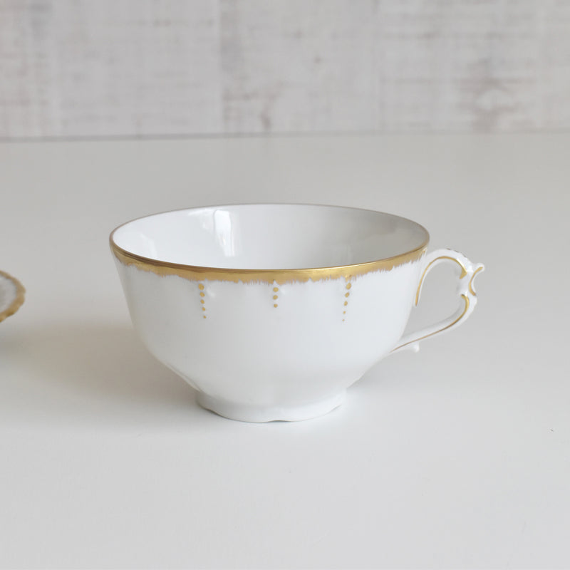 Antique Cup & Saucer Moritz Zdekauer Austria B