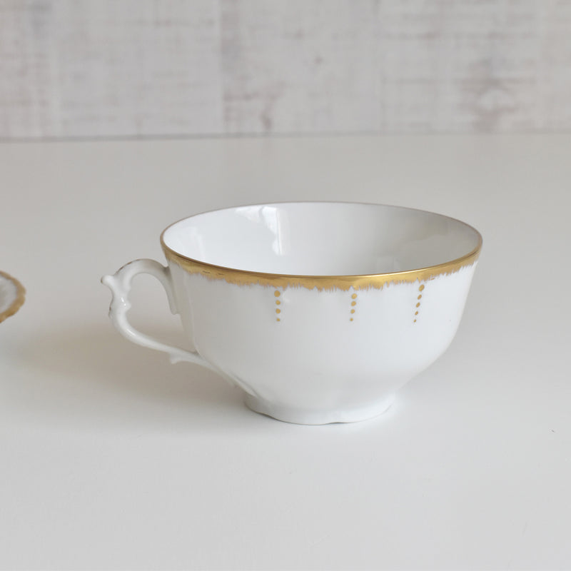Antique Cup & Saucer Moritz Zdekauer Austria B