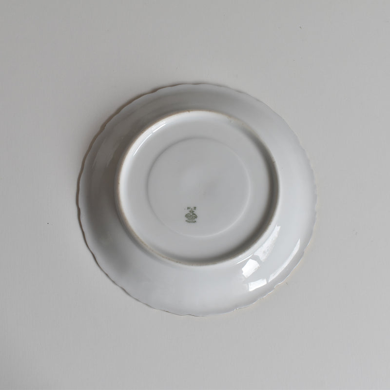 Antique Cup & Saucer Moritz Zdekauer Austria B