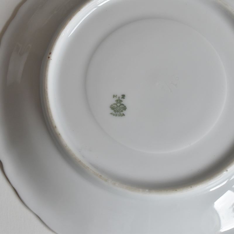 Antique Cup & Saucer Moritz Zdekauer Austria C