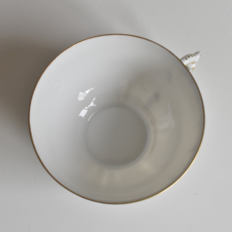 Antique Cup & Saucer Moritz Zdekauer Austria C