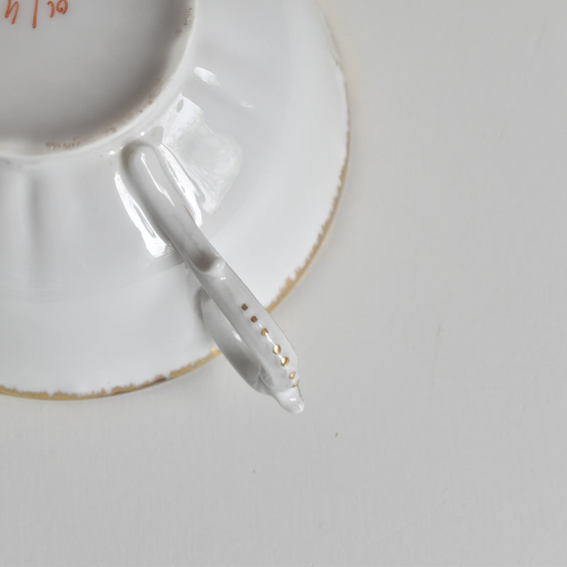 Antique Cup & Saucer Moritz Zdekauer Austria C