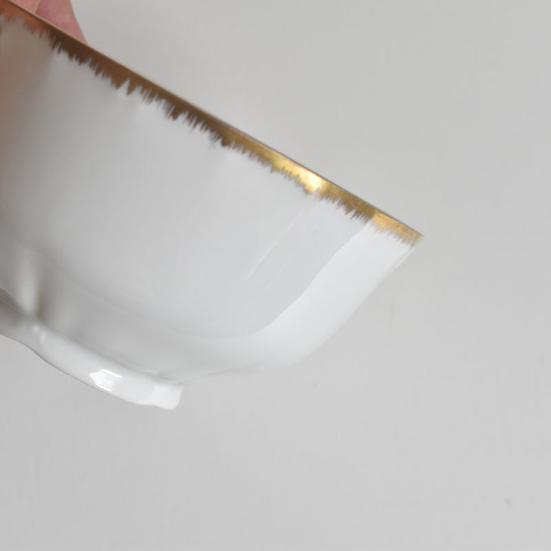 Antique Cup & Saucer Moritz Zdekauer Austria C