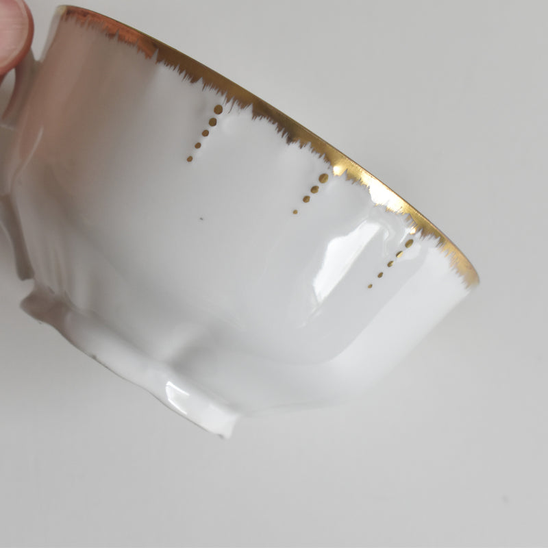 Antique Cup & Saucer Moritz Zdekauer Austria C