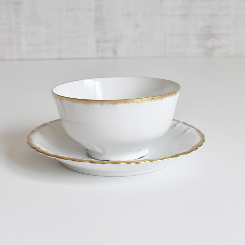 Antique Cup & Saucer Moritz Zdekauer Austria C