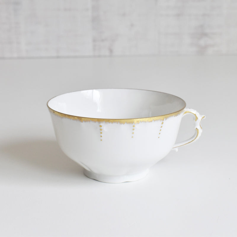 Antique Cup & Saucer Moritz Zdekauer Austria C