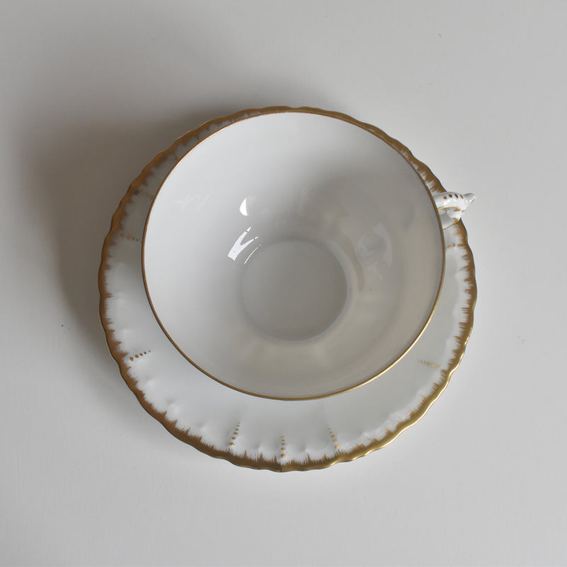 Antique Cup & Saucer Moritz Zdekauer Austria C