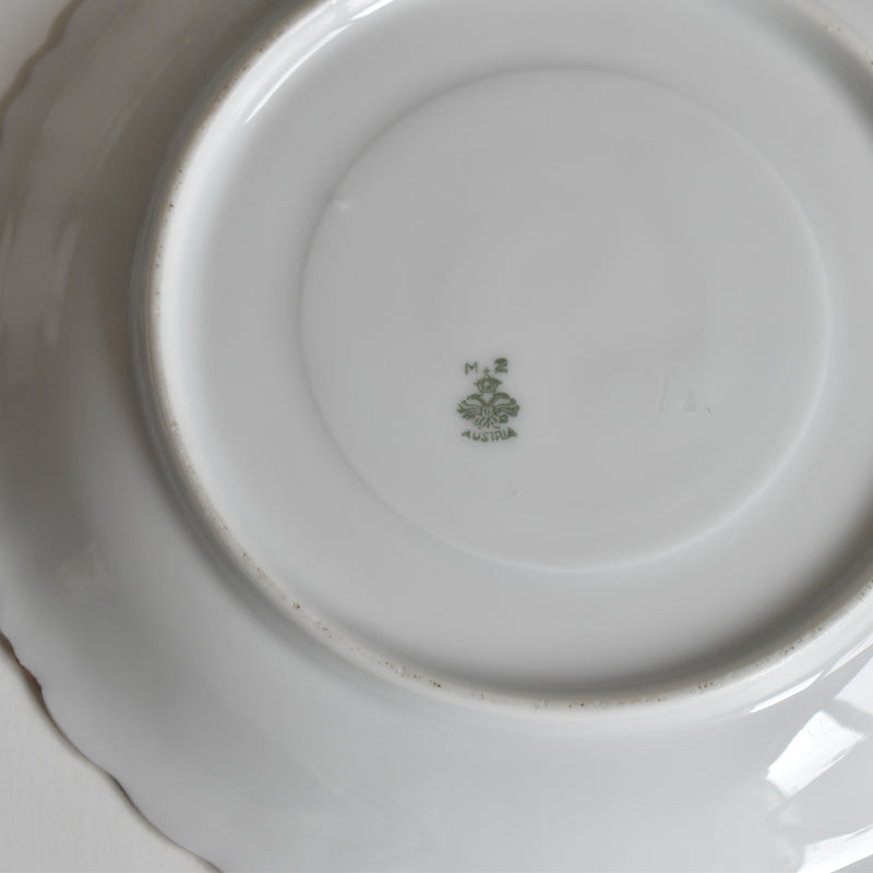 Antique Cup & Saucer Moritz Zdekauer Austria D