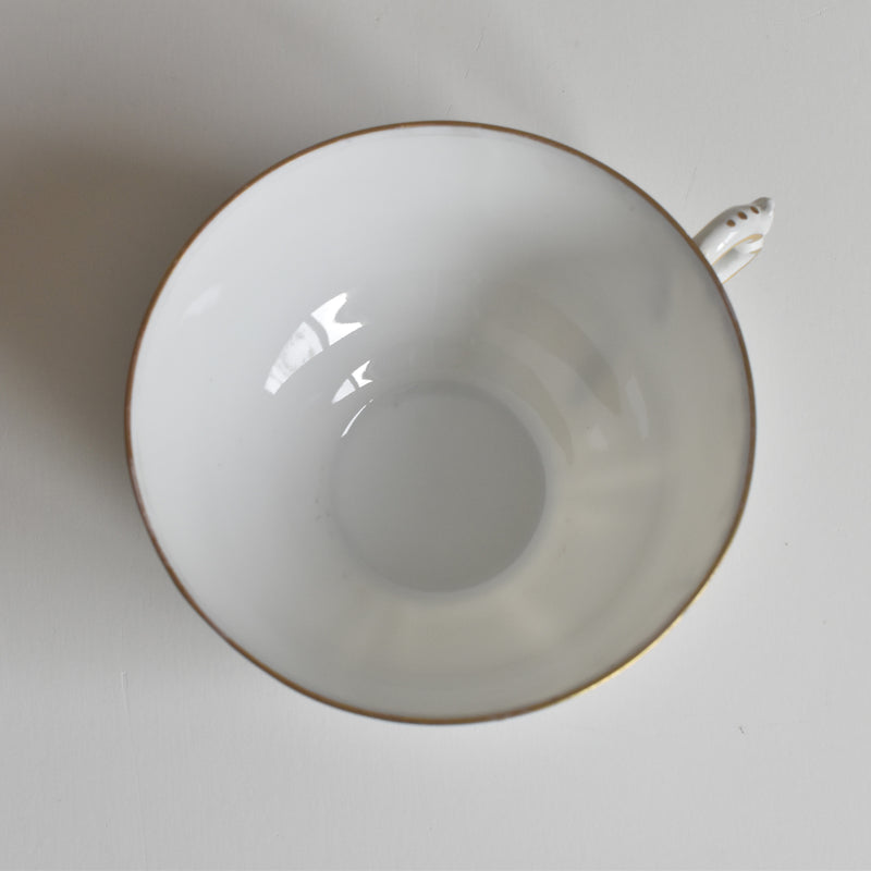 Antique Cup & Saucer Moritz Zdekauer Austria D
