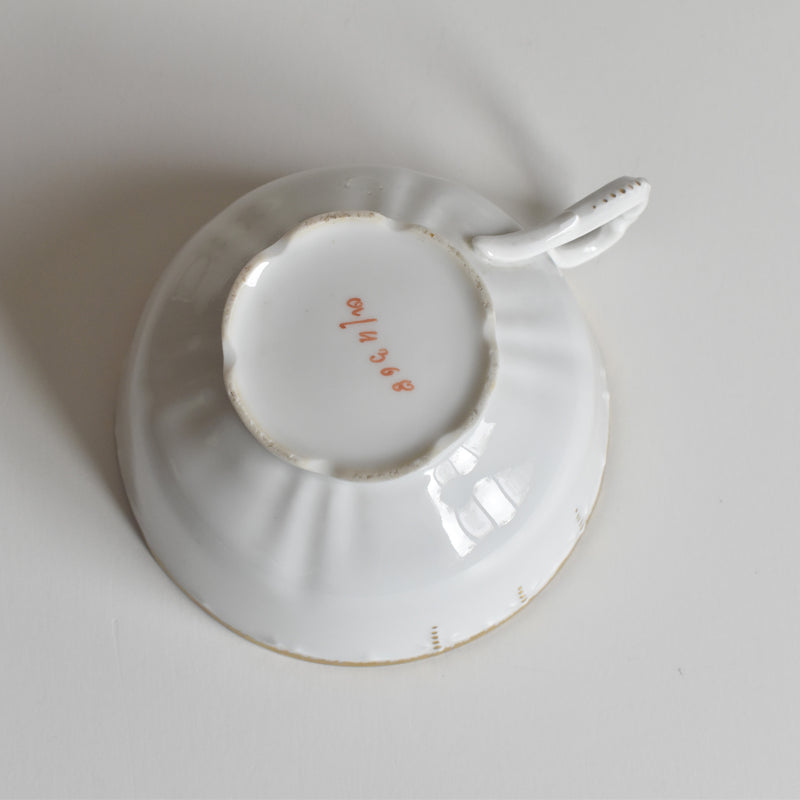 Antique Cup & Saucer Moritz Zdekauer Austria D