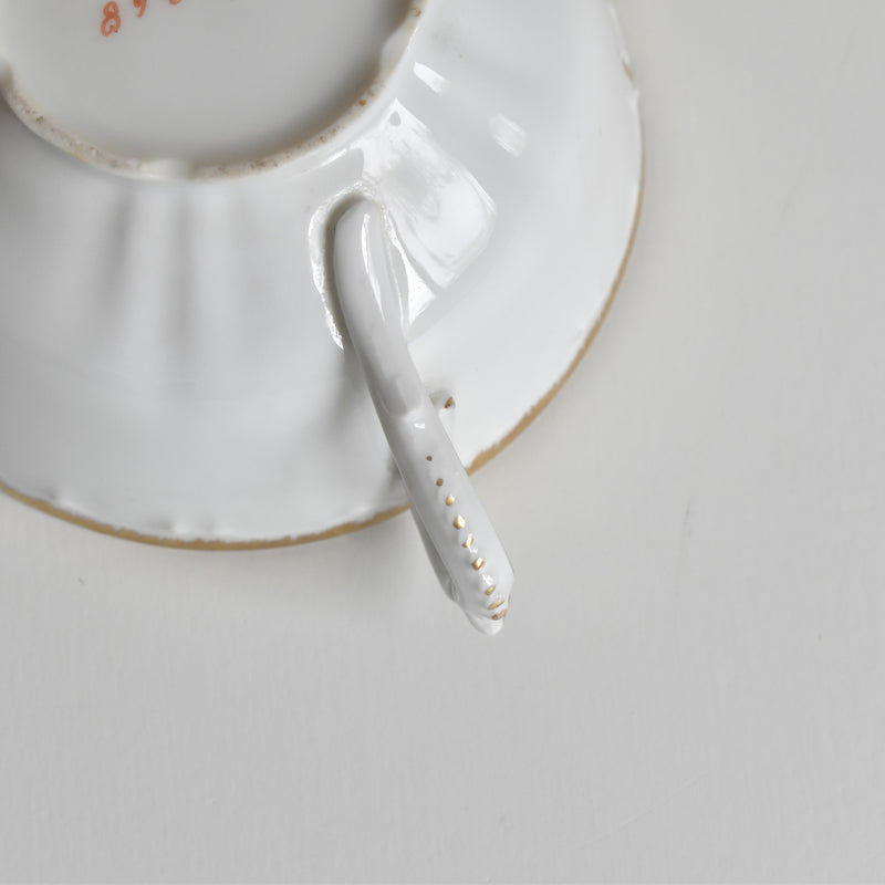 Antique Cup & Saucer Moritz Zdekauer Austria D
