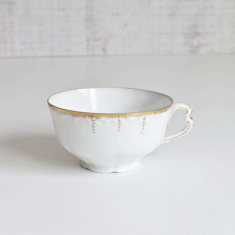 Antique Cup & Saucer Moritz Zdekauer Austria D