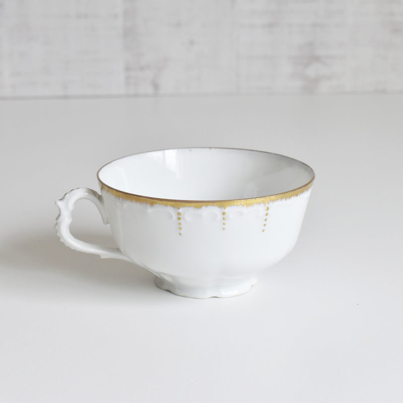 Antique Cup & Saucer Moritz Zdekauer Austria D