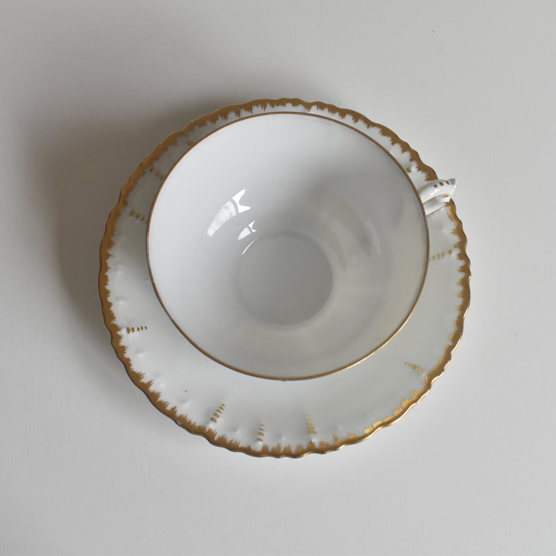 Antique Cup & Saucer Moritz Zdekauer Austria D