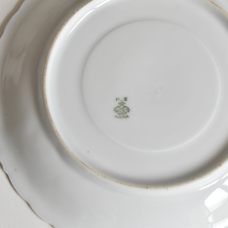 Antique Cup & Saucer Moritz Zdekauer Austria E