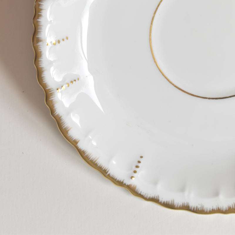 Antique Cup & Saucer Moritz Zdekauer Austria E
