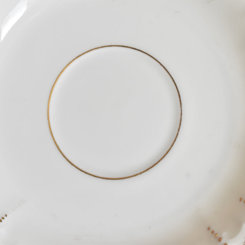 Antique Cup & Saucer Moritz Zdekauer Austria E