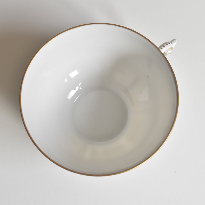 Antique Cup & Saucer Moritz Zdekauer Austria E