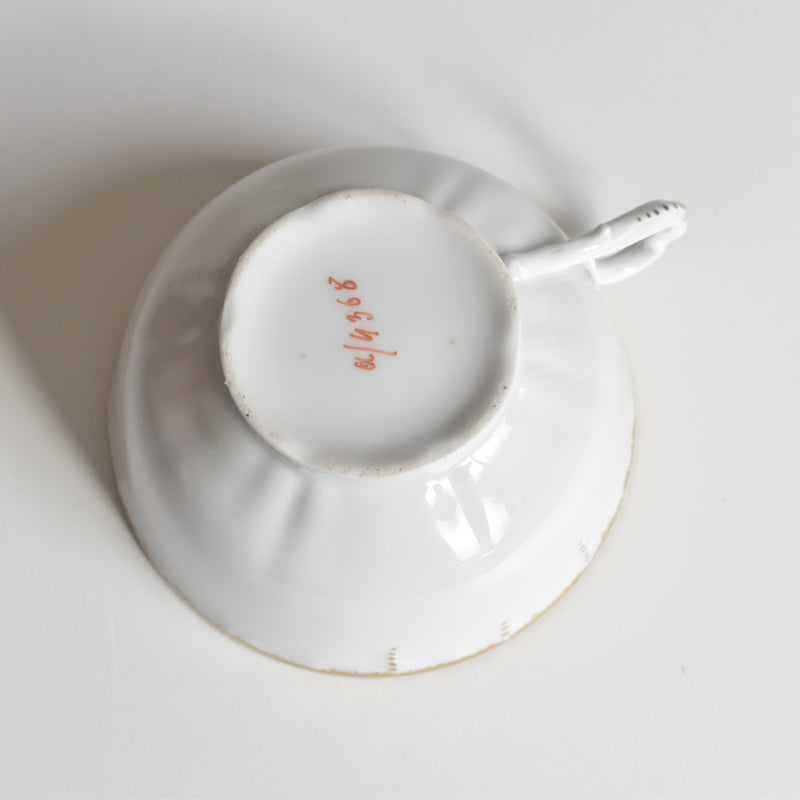 Antique Cup & Saucer Moritz Zdekauer Austria E