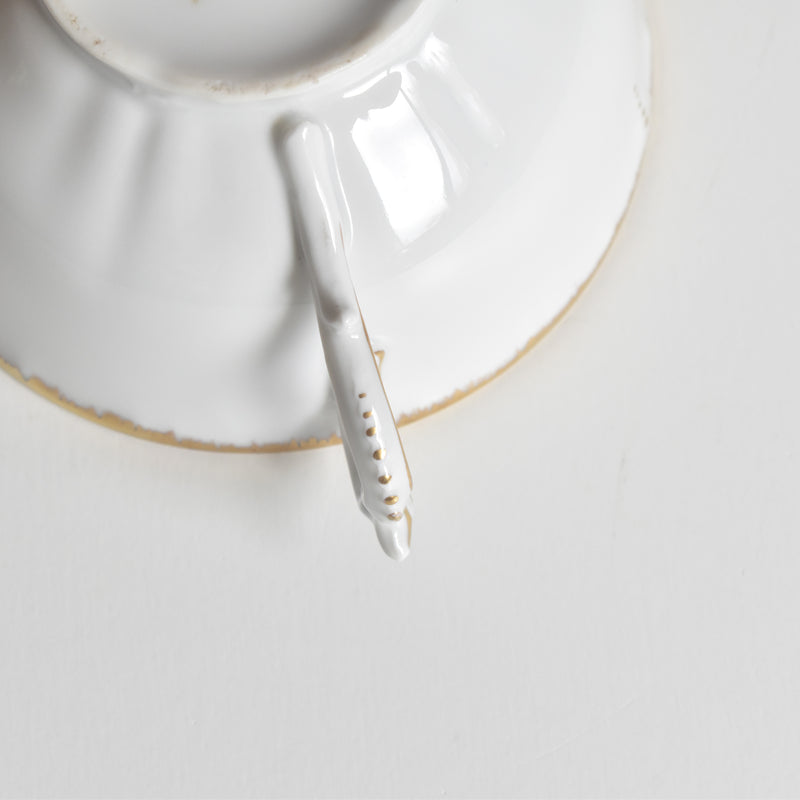 Antique Cup & Saucer Moritz Zdekauer Austria E