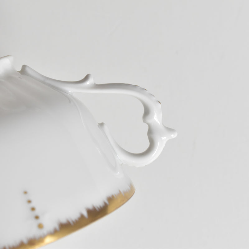 Antique Cup & Saucer Moritz Zdekauer Austria E