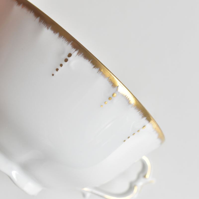 Antique Cup & Saucer Moritz Zdekauer Austria E