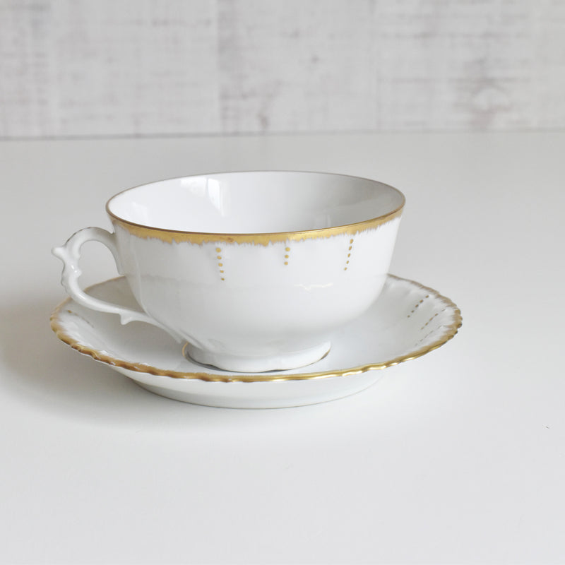 Antique Cup & Saucer Moritz Zdekauer Austria E