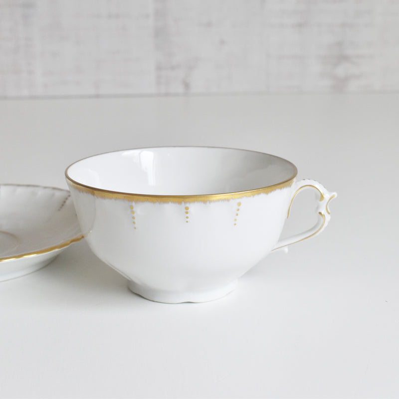Antique Cup & Saucer Moritz Zdekauer Austria E
