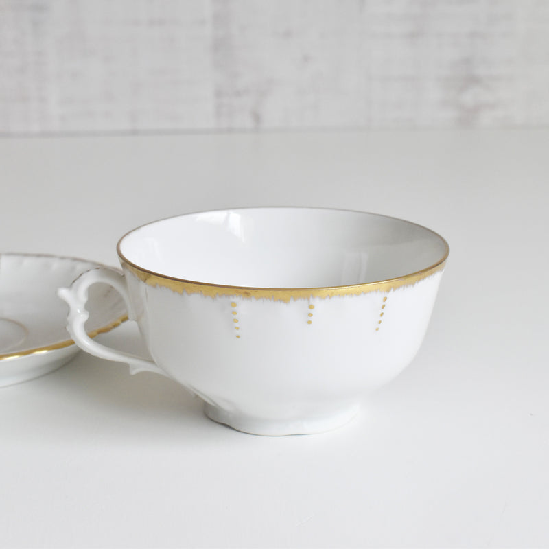 Antique Cup & Saucer Moritz Zdekauer Austria E