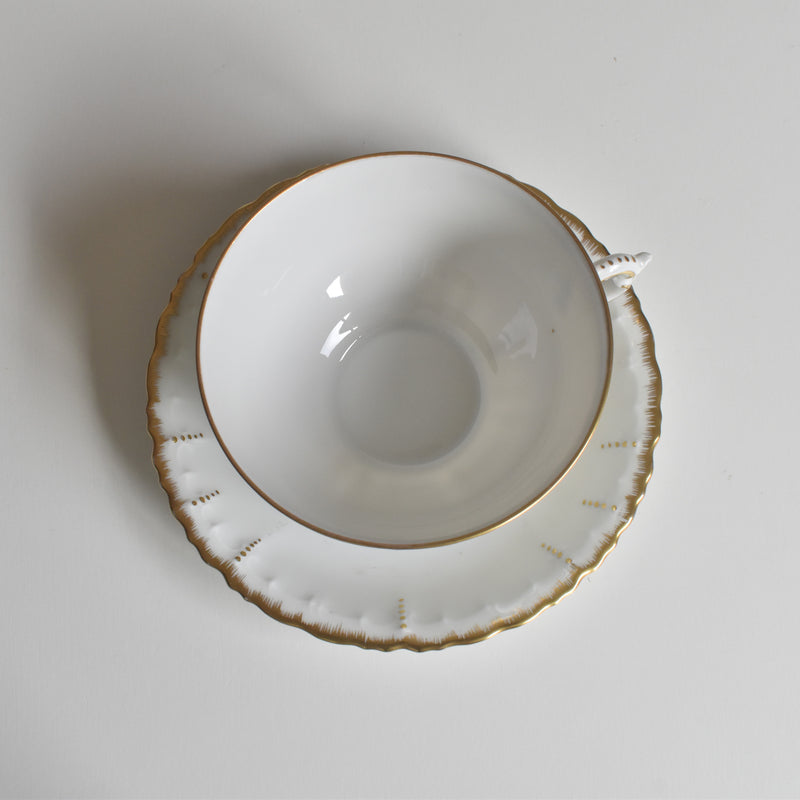 Antique Cup & Saucer Moritz Zdekauer Austria E