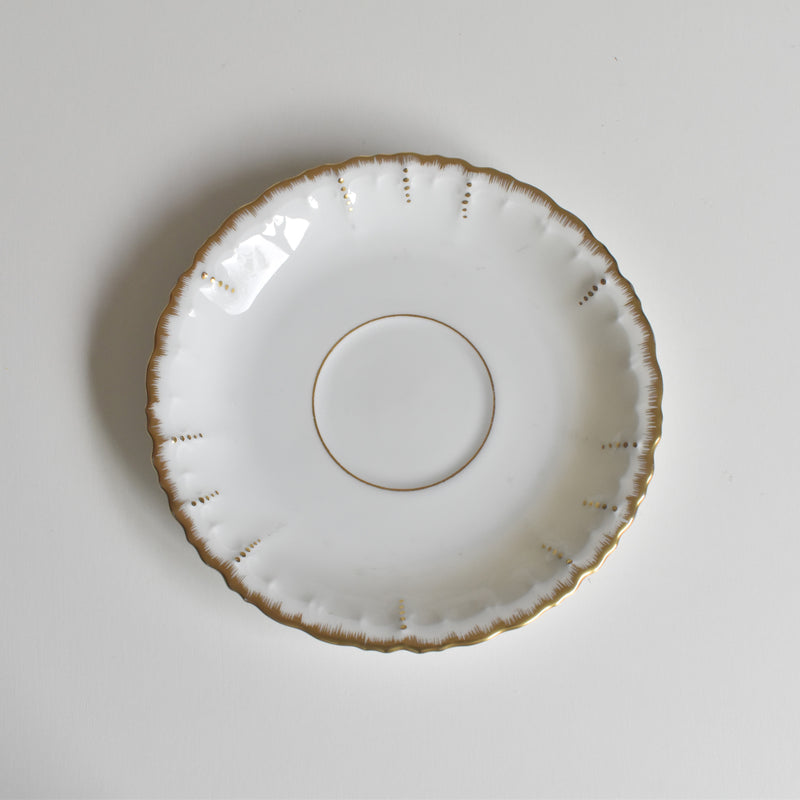 Antique Cup & Saucer Moritz Zdekauer Austria E