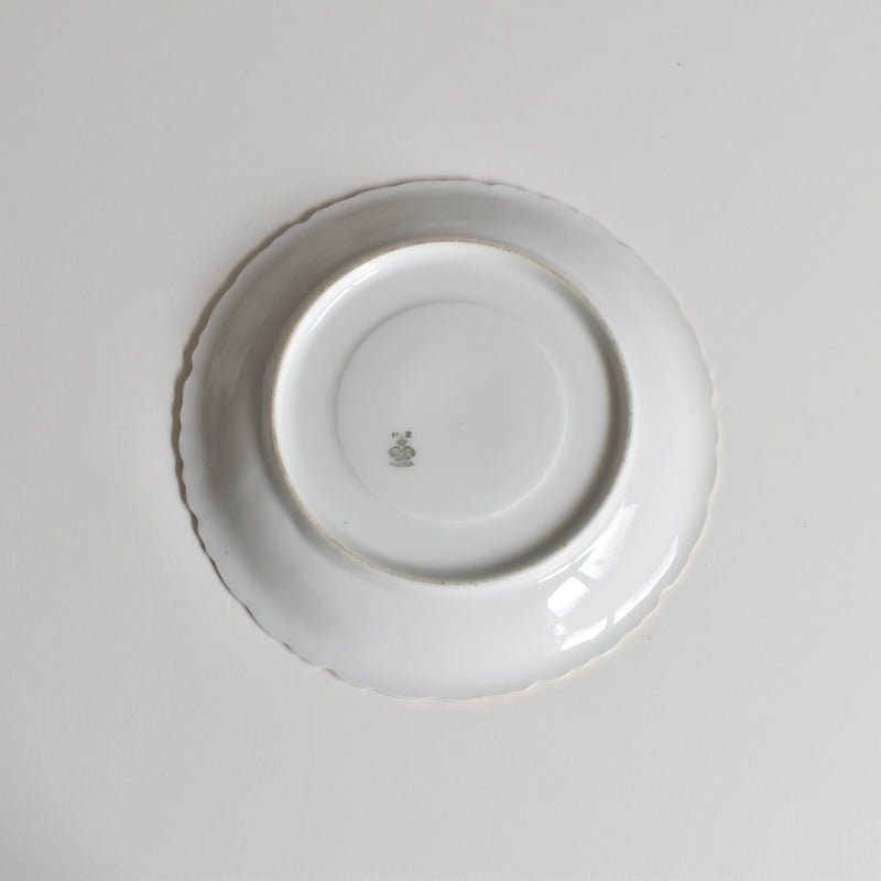 Antique Cup & Saucer Moritz Zdekauer Austria E