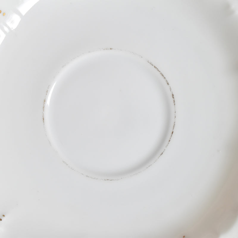 Antique Cup & Saucer Moritz Zdekauer Austria F