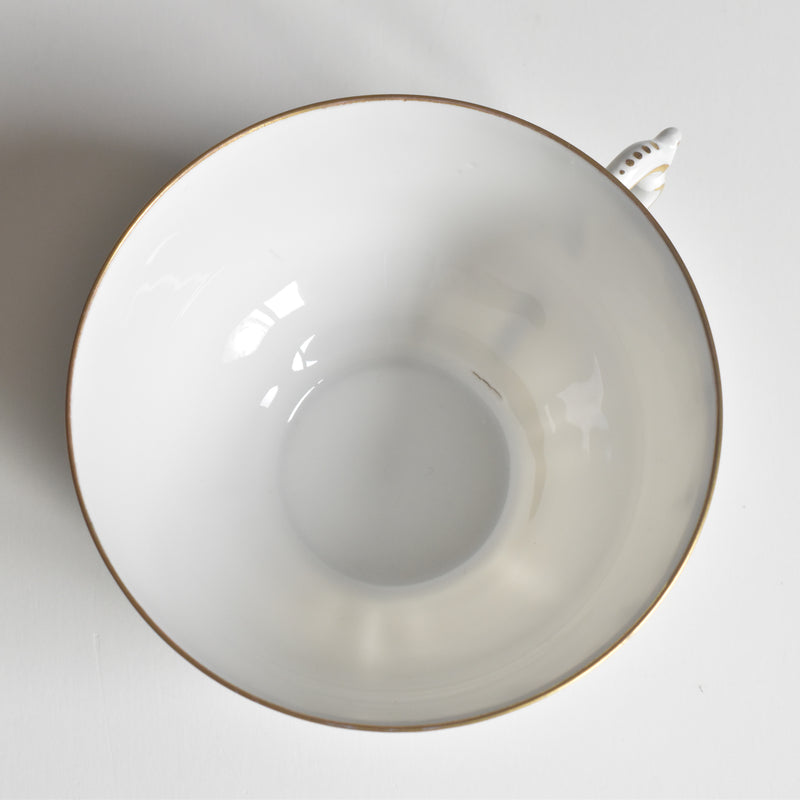 Antique Cup & Saucer Moritz Zdekauer Austria F