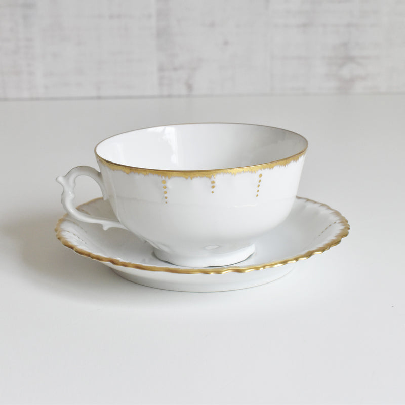 Antique Cup & Saucer Moritz Zdekauer Austria F