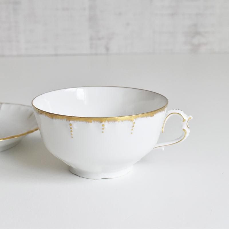 Antique Cup & Saucer Moritz Zdekauer Austria F