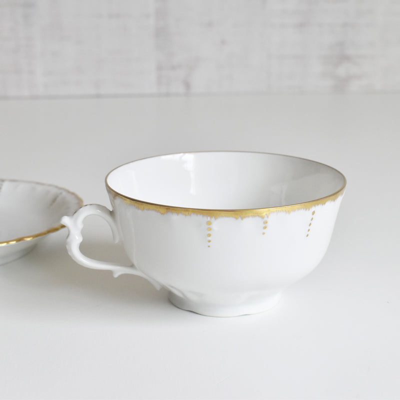 Antique Cup & Saucer Moritz Zdekauer Austria F