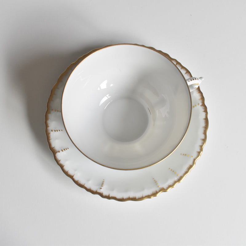 Antique Cup & Saucer Moritz Zdekauer Austria F