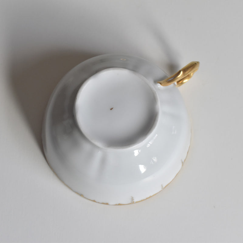 Antique Cup & Saucer Moritz Zdekauer Austria G