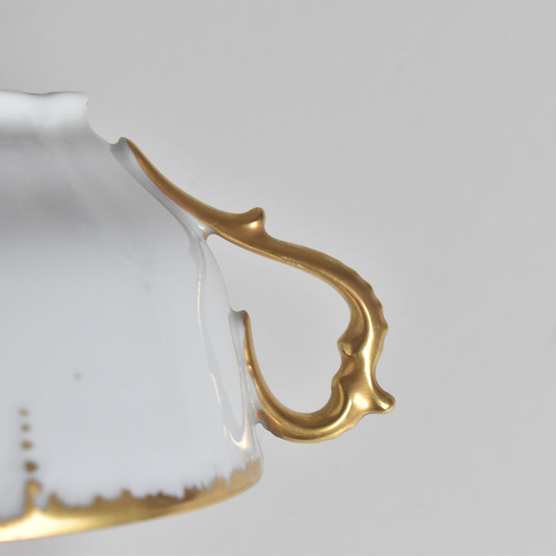 Antique Cup & Saucer Moritz Zdekauer Austria G