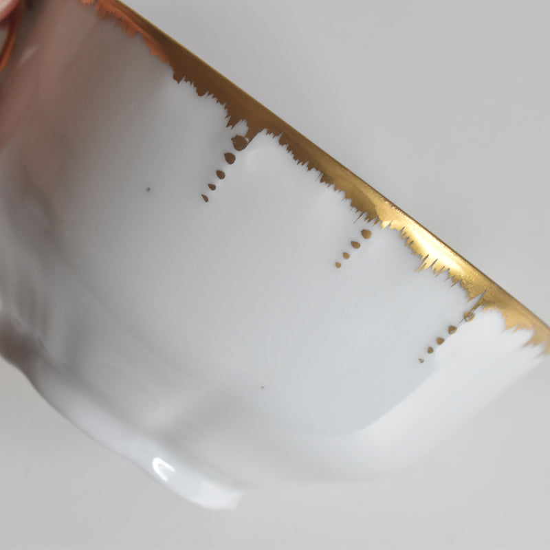 Antique Cup & Saucer Moritz Zdekauer Austria G