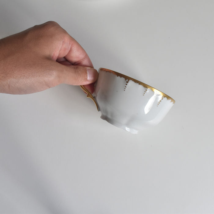 アンティークカップ＆ソーサー Moritz Zdekauer オーストリア G