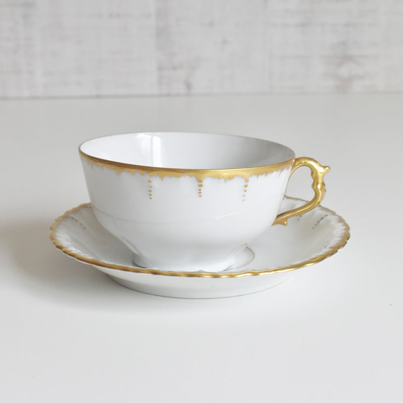 Antique Cup & Saucer Moritz Zdekauer Austria G