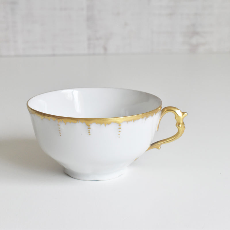 Antique Cup & Saucer Moritz Zdekauer Austria G