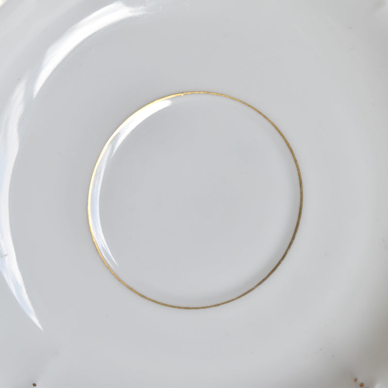 Antique Cup & Saucer Moritz Zdekauer Austria G