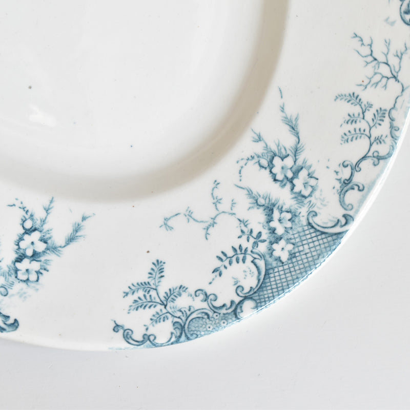 Antique Oval Platter Clairfontaine Cyclamens (Cyclamen) Small