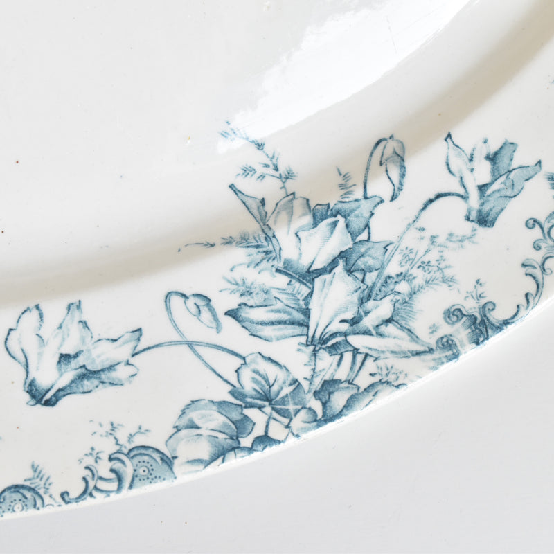 Antique Oval Platter Clairfontaine Cyclamens (Cyclamen) Small