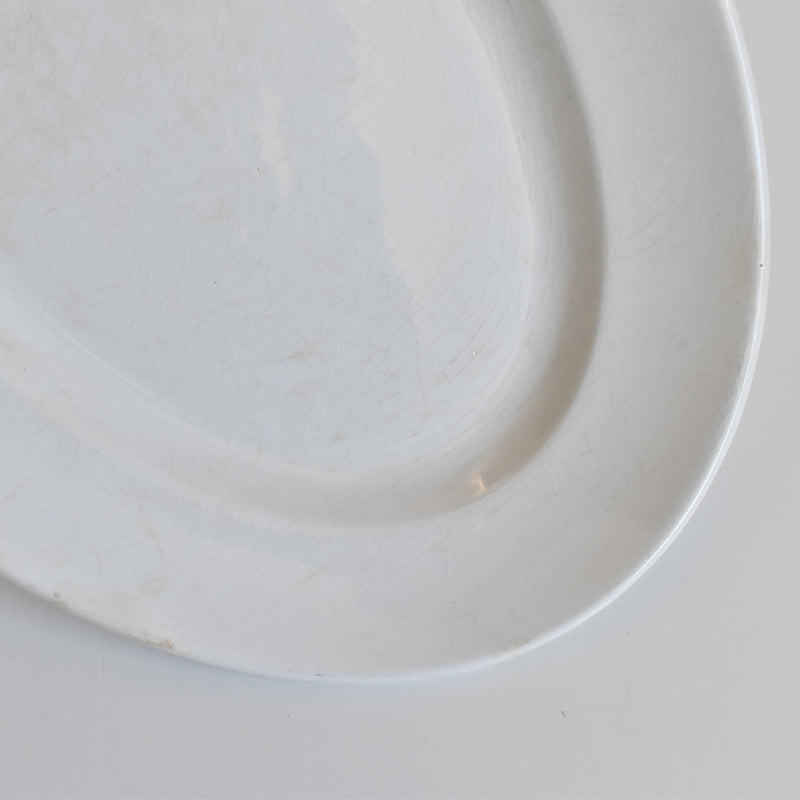 Antique Oval Plate Creil et Montereau Labrador